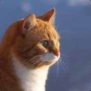 第一个死怪我咯