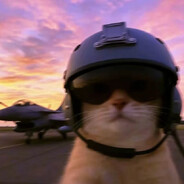 OrangeCat橘猫大尉