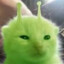 BEEP (BORK) BOOP