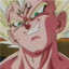 Vegeta-