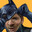 Bruce Wayne