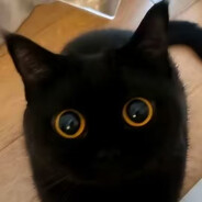 Tempus Omnia Revelat