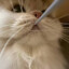 iren