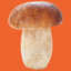 ConfusedMushroom