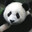 Pandarino