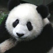 Pandarino