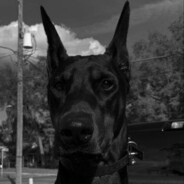 Ян акурен - steam id 76561199241874159
