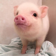 faul1x - steam id 76561198771992524