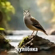 MGE Кулiiбяка