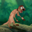 timon