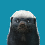 H.Badger