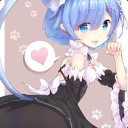 rem re zero cat