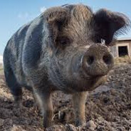 -aHyс_3а/7Eк@нyс-