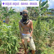 baiano