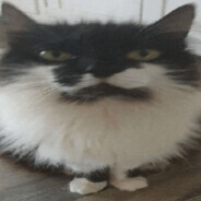 人间理想周防有希