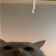 zenemze