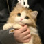 山奈.