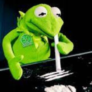 kermit avatar
