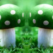 filthymushroom - steam id 76561197961196741