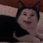 Fekking Fox