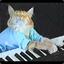 KeyBoardCat