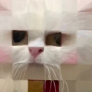 1𝒄𝒆𝒅𝒓𝒆𝒂𝑴