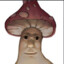 fungus