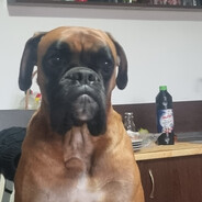 Boxos Ur - steam id 76561198799647432