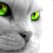 LOMKA?! - steam id 76561199169117850