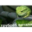 Геноцид унитазов