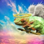 The Holy Chameleon