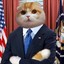 Kitten J. Trump