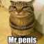 Mr. Doctor Penis