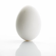 An egg