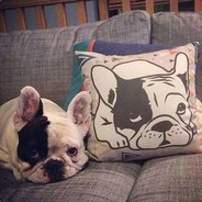 骑着Vespa的Miller