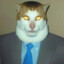 PipiPo