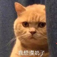 吃鸡王者赵本六