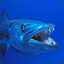 politebarracuda