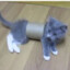 REHARD CAT IN A TUBE⇄