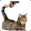 Meow Meow