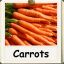 The Carrot is an orange Bannana