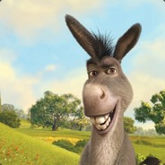 Donkey