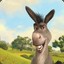 Donkey