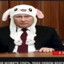 БО СИНН