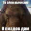 абеме
