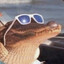 Florida