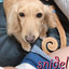 love_snidel