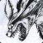 Alucard