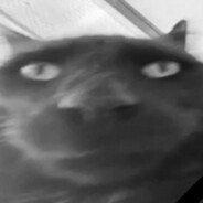 123