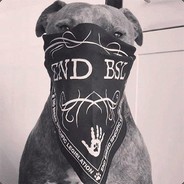SAUZE avatar